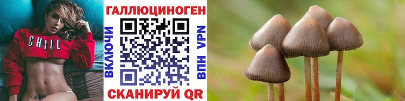 blacksprut маркетплейс  Кукмор  Псилоцибиновые грибы мицелий  купить  цена 